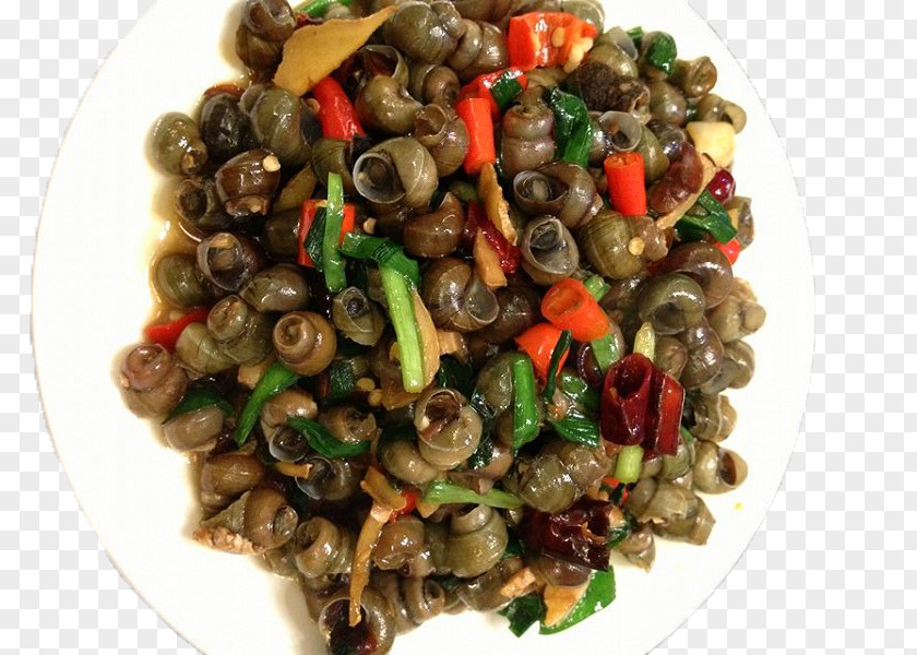 Spicy Fried Snails Vegetable Download PNG
