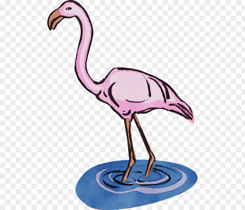 Animal Figure Cranelike Bird Flamingo PNG