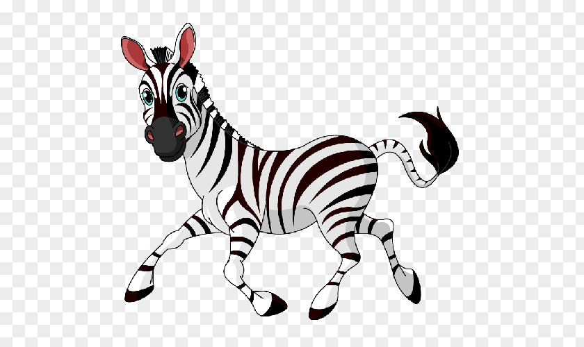Cartoon Zebra Drawing Clip Art PNG