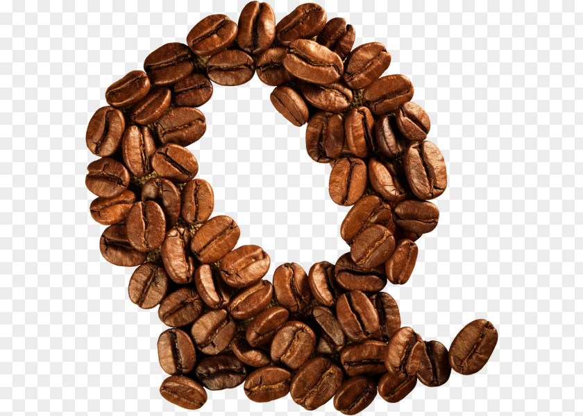 Coffee Jamaican Blue Mountain Letter Bean PNG