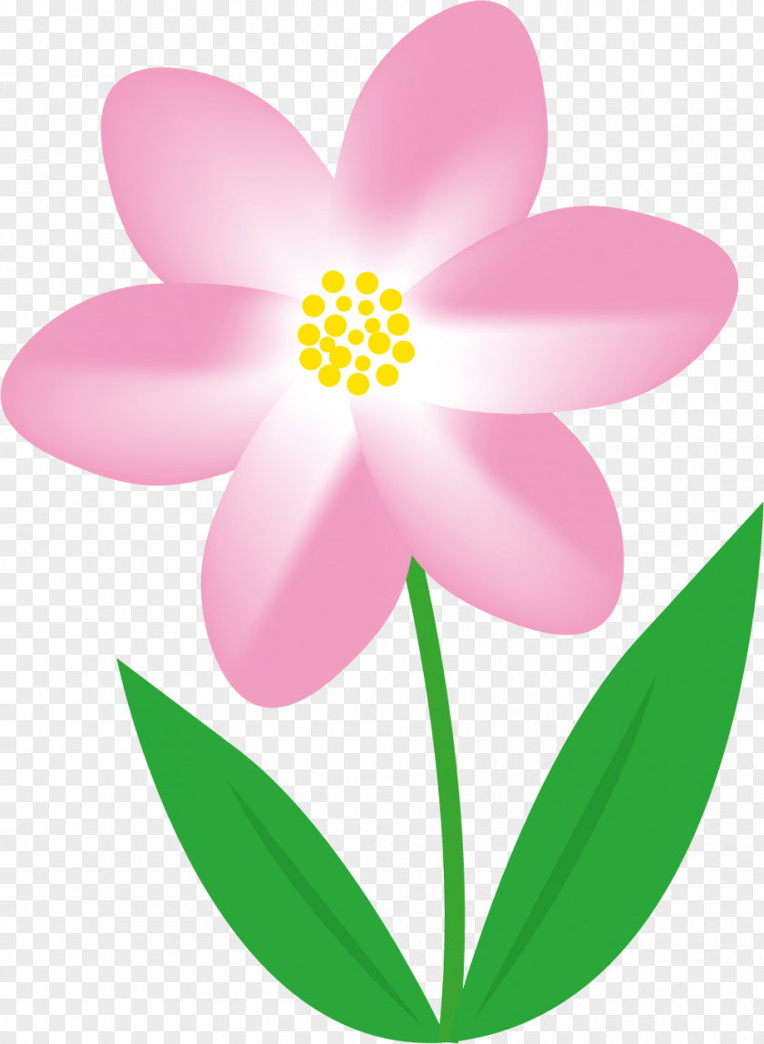 Cute Flower Material. PNG