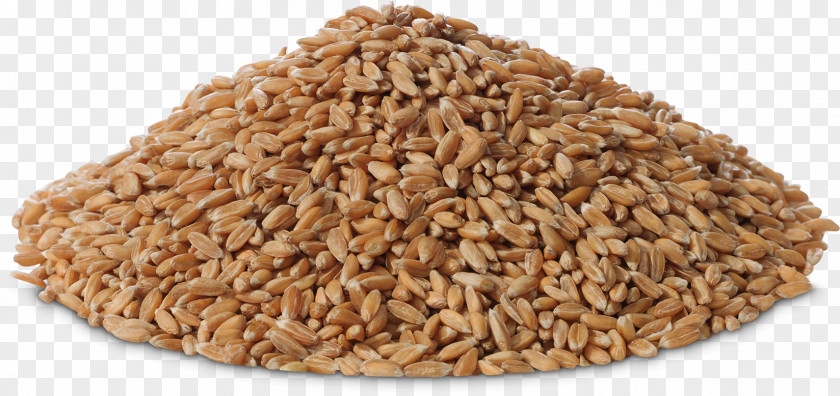 Oat Cereal Germ Whole Grain Spelt PNG