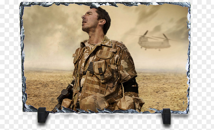 Poppy Field Soldier Desktop Wallpaper Adobe Lightroom High-definition Video Film PNG