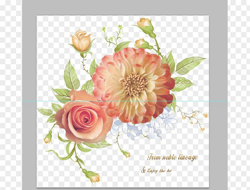 Rose's Funeral Centifolia Roses Garden Beach Rose Flower PNG