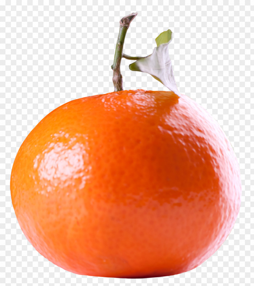 Tangerine Citrus Fruit Orange Tangelo PNG