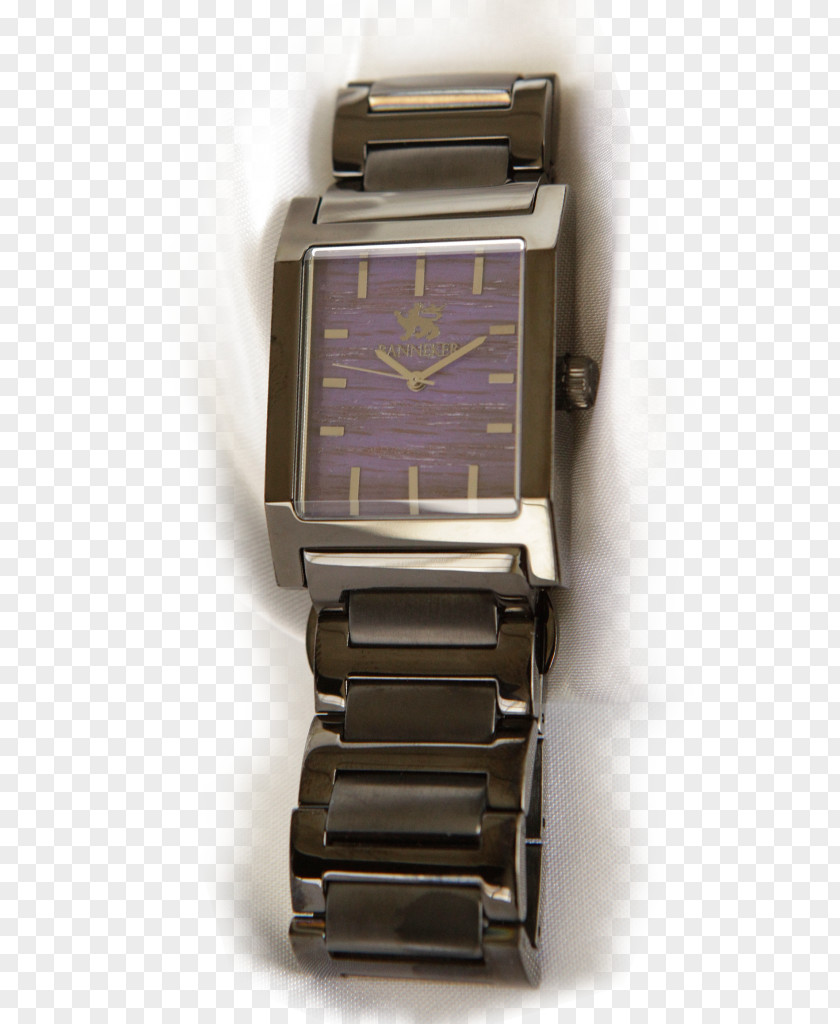 Watch Strap Metal PNG