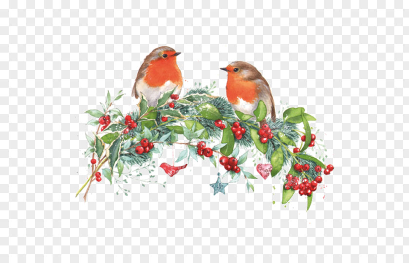 Wishing Tree Christmas Robin Drawing Pin PNG