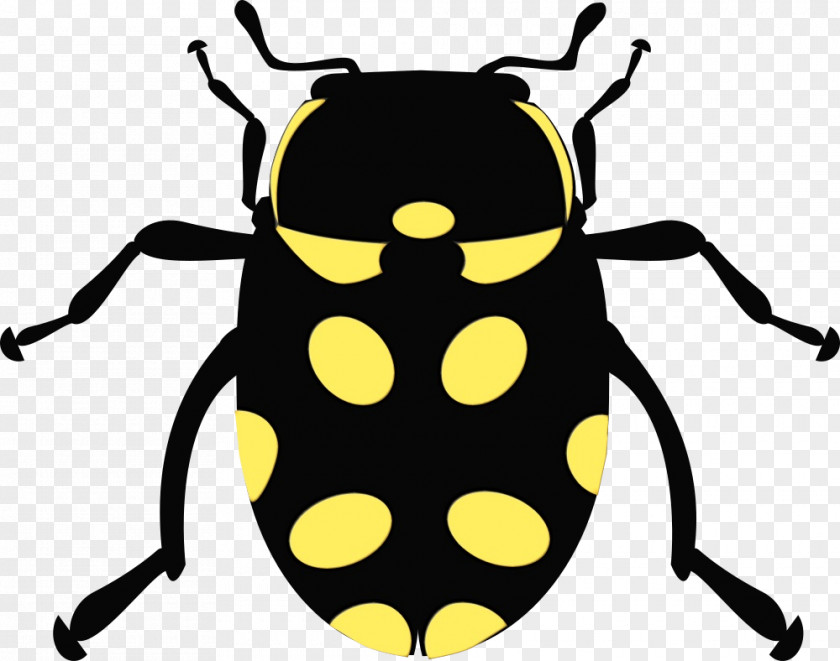 Beetles Ladybird Beetle Cartoon Firefly Insect PNG