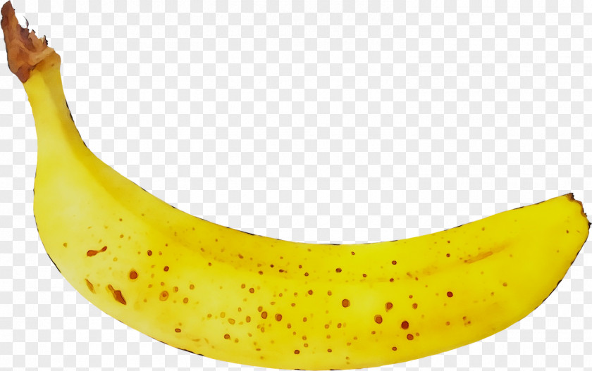 Cooking Banana Yellow PNG
