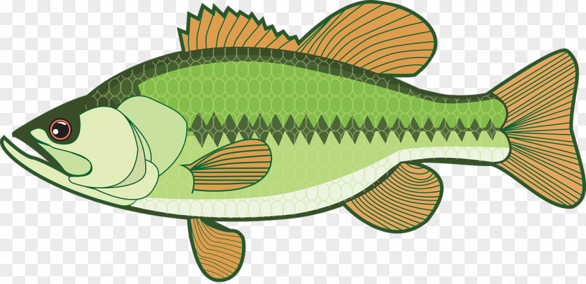 Fishing Bass Clip Art PNG