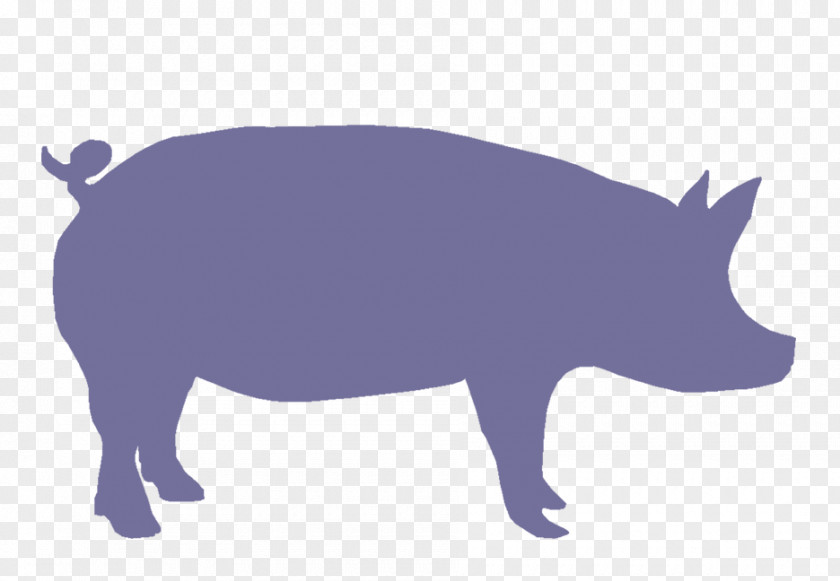 Free Pig Clipart Kate's Simple Eats Marion General Store Cafe Cheese Sandwich Melt PNG