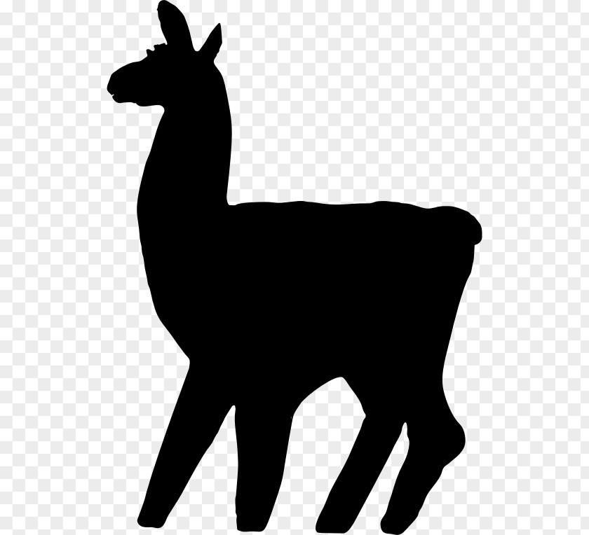 Llama Alpaca Clip Art PNG