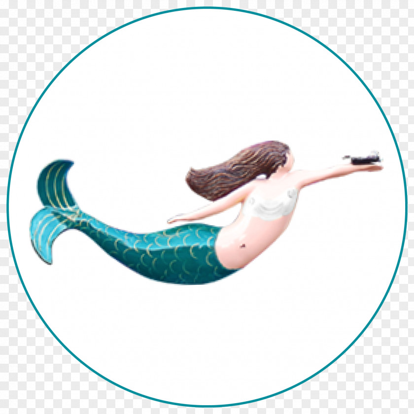 Marine Mammal Mermaid Fish Turquoise PNG