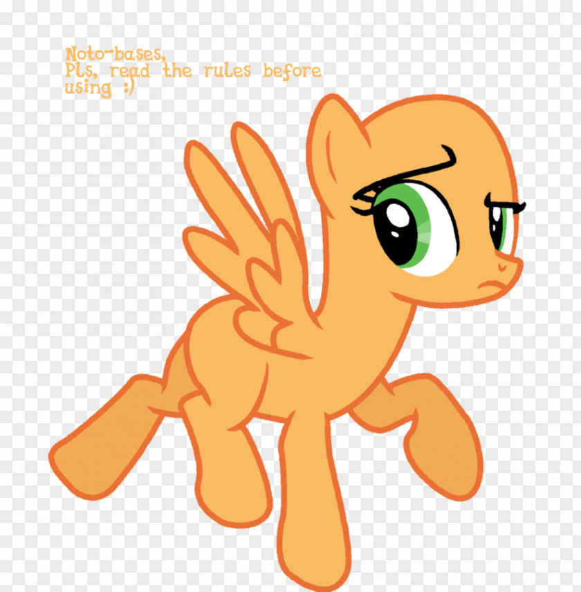 Nphardness Pony Sonic Rainboom Radix Rainbow Dash Horse PNG