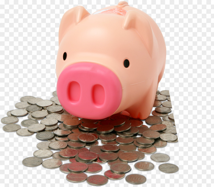Piggy Pig Bank Domestic Finance Money PNG