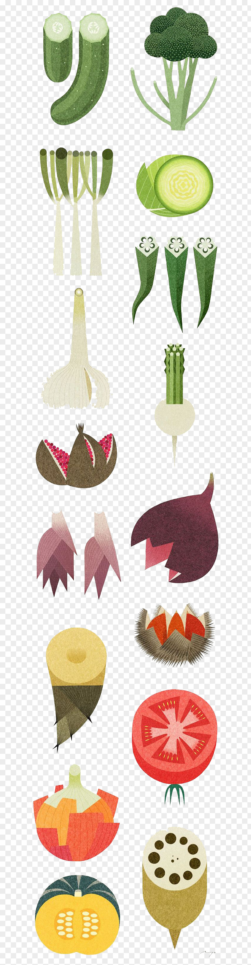 Vegetables Vegetable Food Illustrator Illustration PNG