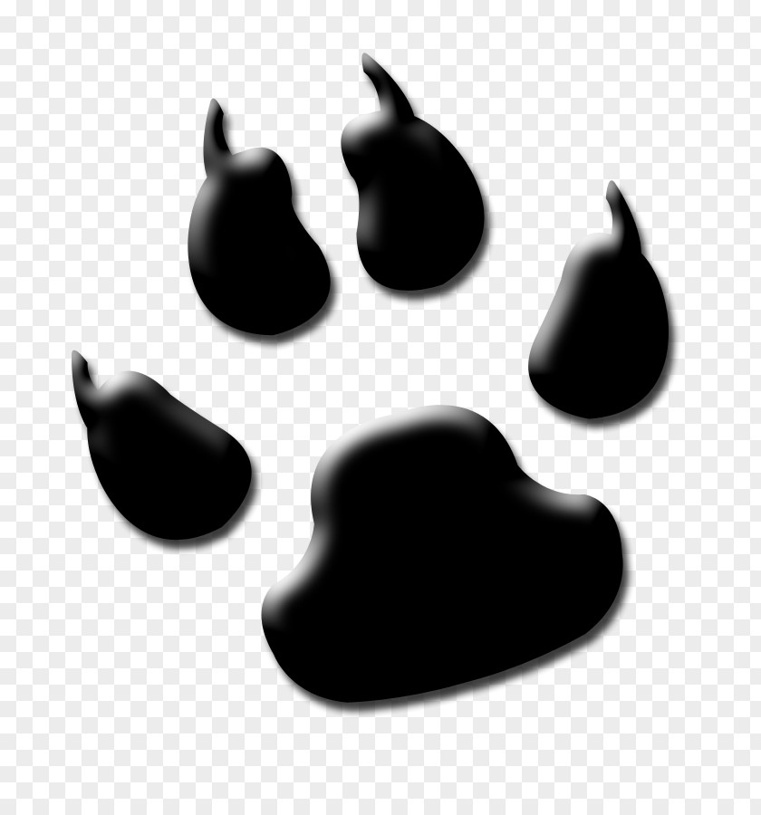 Wolf Paw Lion Tiger Cougar Clip Art PNG
