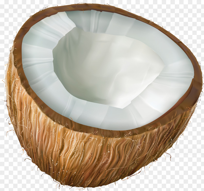 Coconut Transparent Clip Art PNG