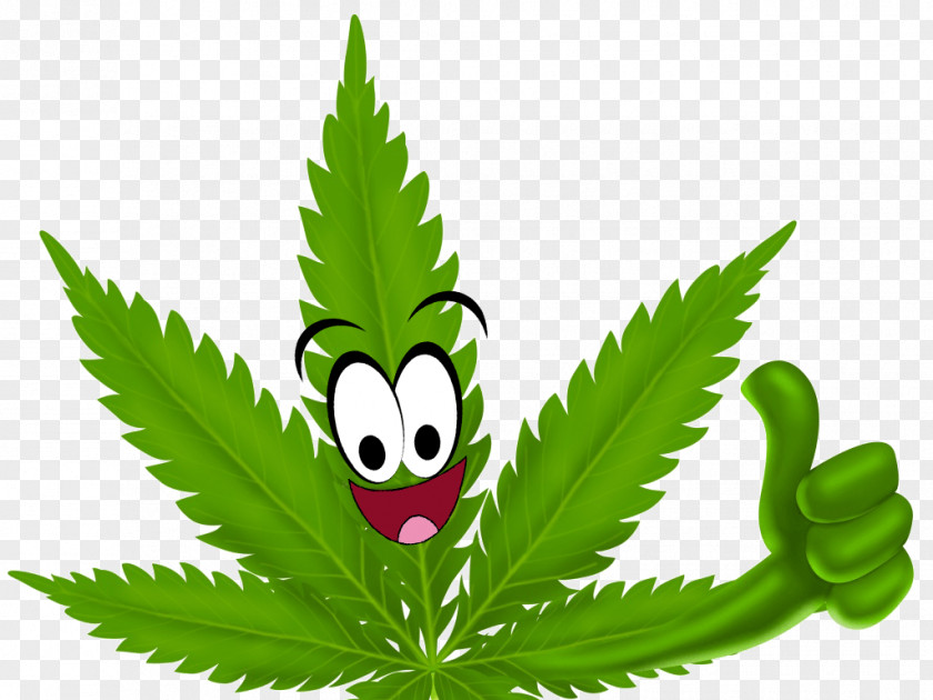 Medicinal Cannabis Medical Hashish Hemp Clip Art PNG