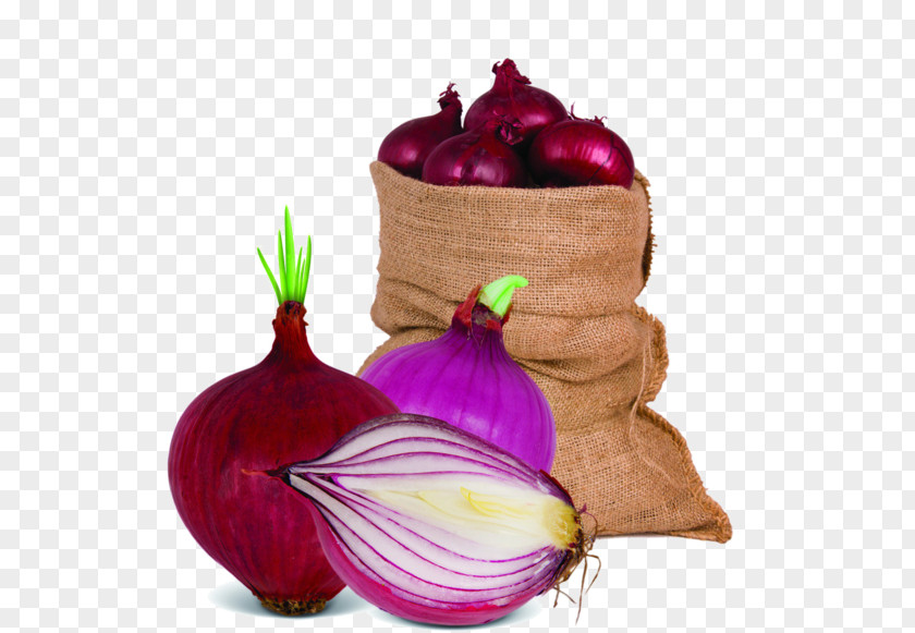 Onion Material Red Shallot Vegetable Garlic Food PNG