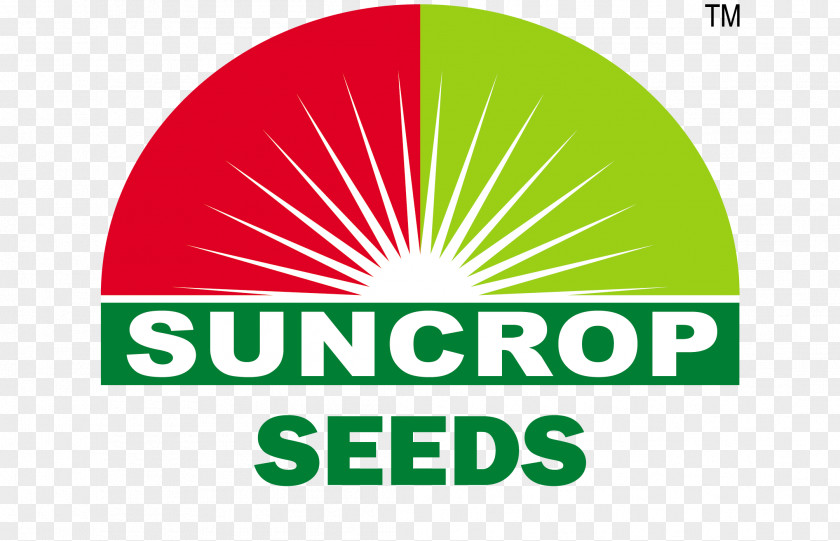 Sun Crop Sciences Pvt Ltd Nottingham Seed Sorghum PNG