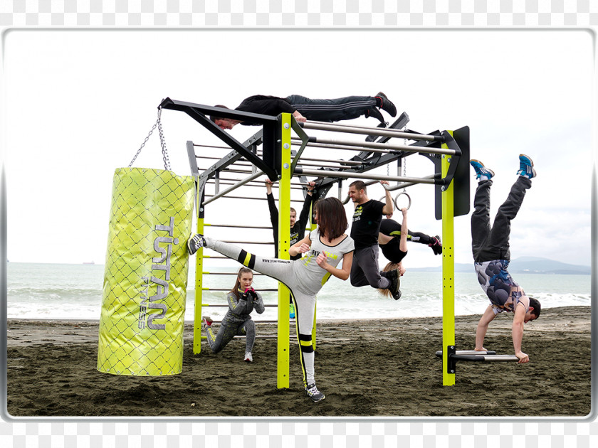 Tree Playground Swing PNG