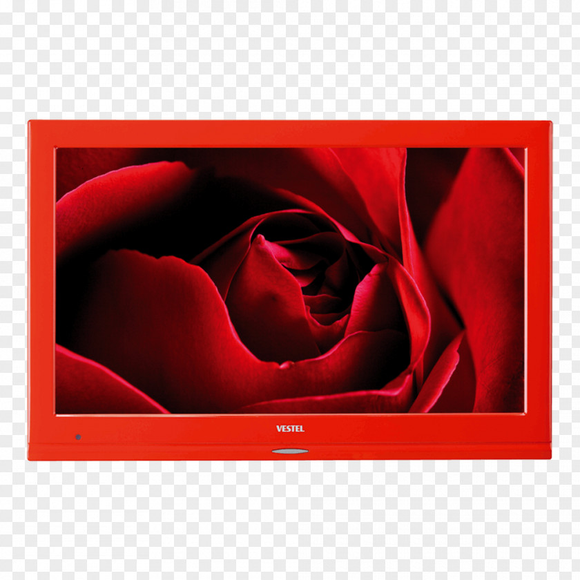 Tv LED Red Display Device Television Color LED-backlit LCD PNG
