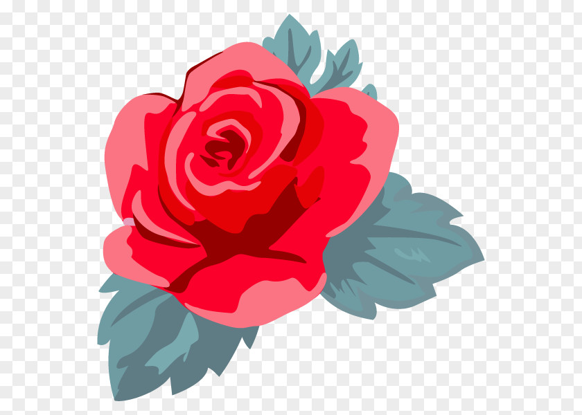 Garden Roses Illustration Flower Clip Art Cabbage Rose PNG