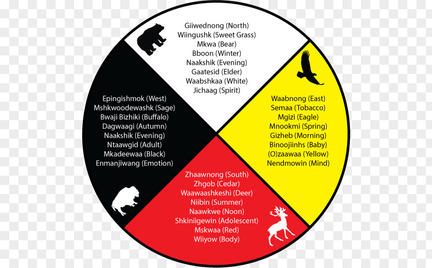 Medicine Wheel Spirituality Mental Health The Red Road Ojibwe PNG