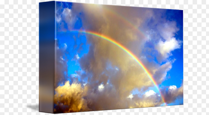 Rainbow Pineapple Gallery Wrap Energy Canvas Desktop Wallpaper Art PNG