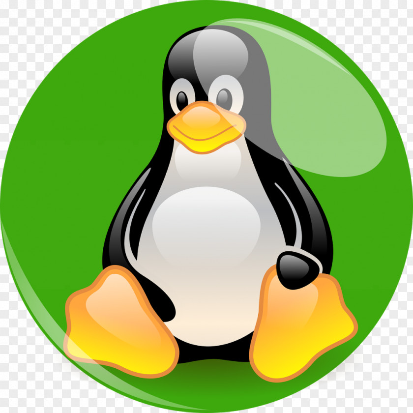 Tuxedo Linux From Scratch Distribution Red Hat Enterprise Installation PNG