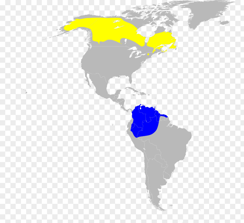 United States New World Warblers Map Scale PNG