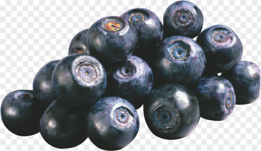 Blueberries European Blueberry Bilberry Skin Vaccinium Uliginosum PNG