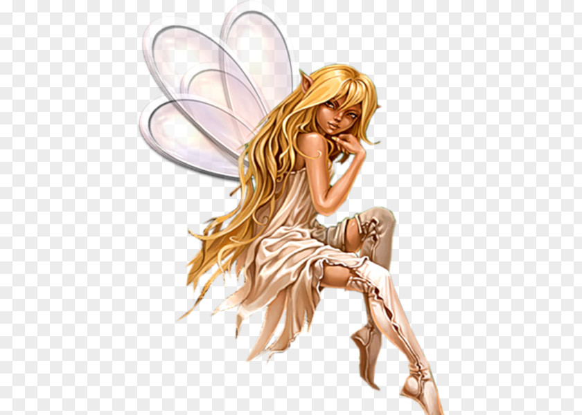 Fairy Tale Elf Pixie PNG