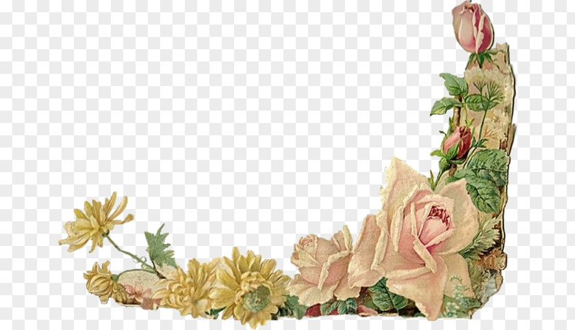 Flower Borders And Frames Floral Design Rose Clip Art PNG