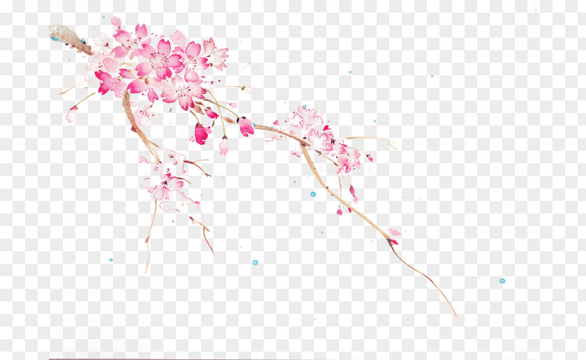 Pink Cherry Blossoms Sakura-Con Blossom Idea PNG