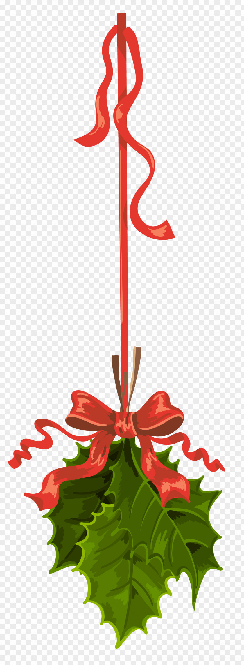 Transparent Christmas Hanging Mistletoe Clipart Clip Art PNG