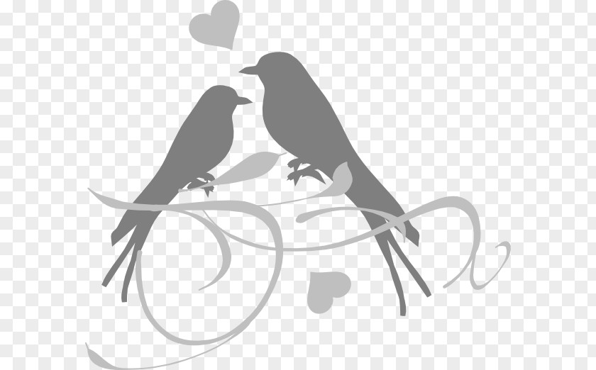 Bird Lovebird Wedding Invitation Clip Art PNG