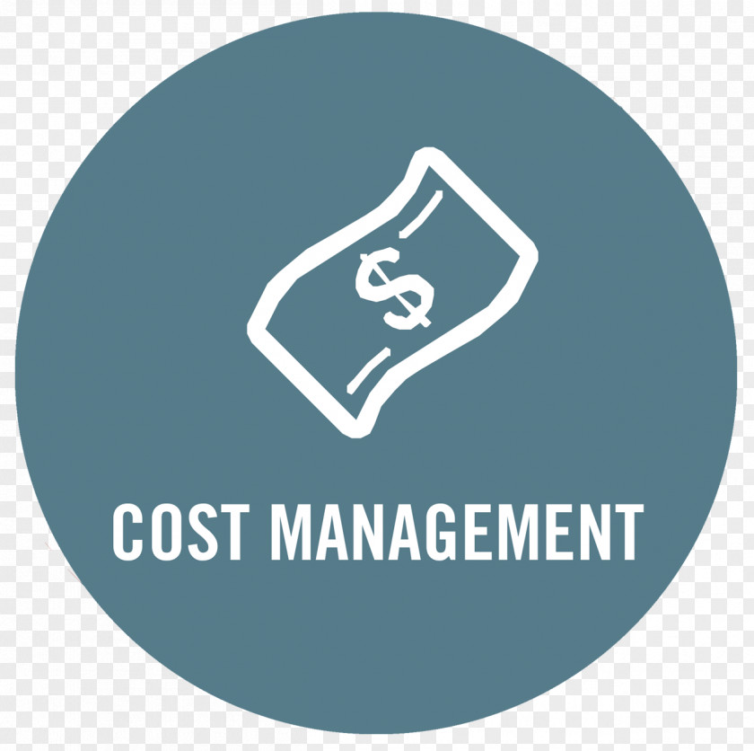 Business Cost-effectiveness Analysis Efficiency Management PNG