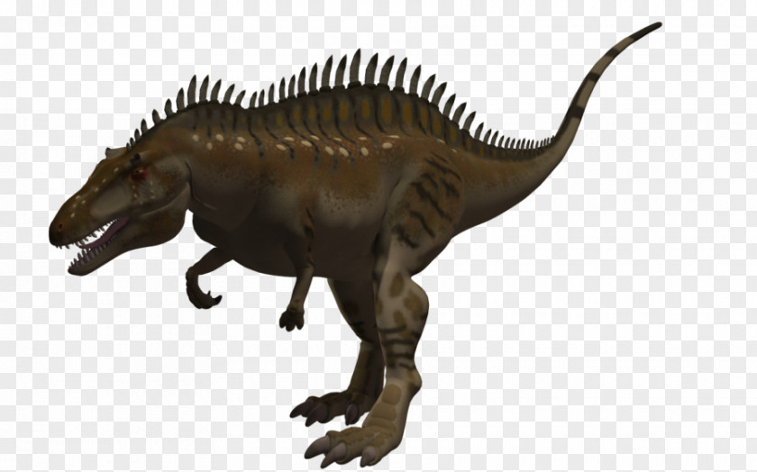 Dinosaur Tyrannosaurus Acrocanthosaurus Sauroposeidon Spinosaurus Allosaurus PNG