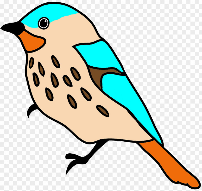 Flying Bird Drawing Art Clip PNG