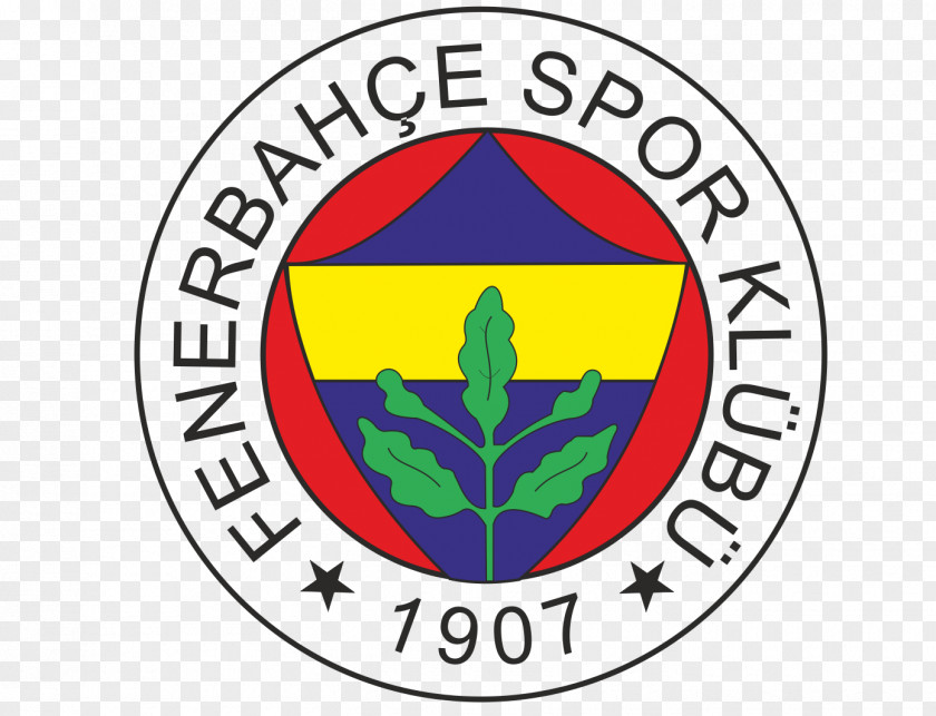 Football Fenerbahçe S.K. Men's Volleyball Şükrü Saracoğlu Stadium Sports Association PNG