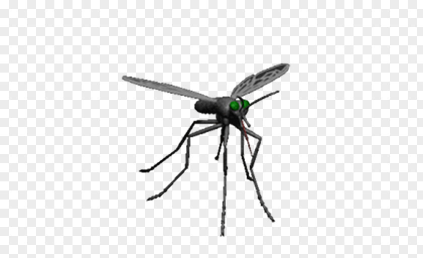 Mosquito Control Insect Pest PNG