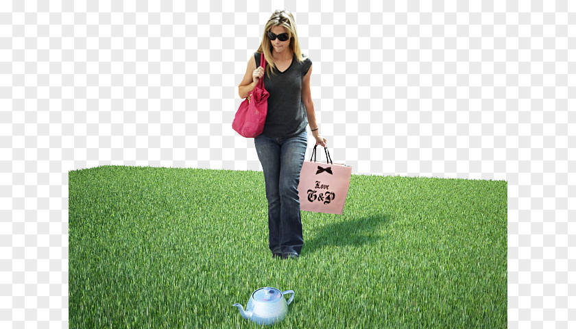 Show Results Lawn Grassland Leisure Grasses Adobe Photoshop PNG