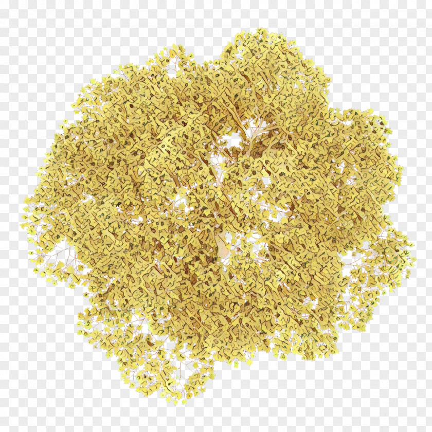Cuisine Food Oat Bran Yellow Celery Salt Plant PNG