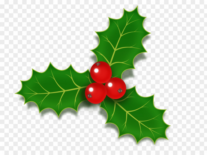 Green Leaves Common Holly Christmas Stock Photography Clip Art PNG