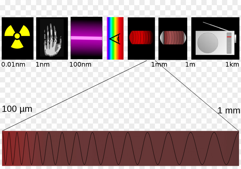 Light Terahertz Radiation Electromagnetic Spectrum PNG