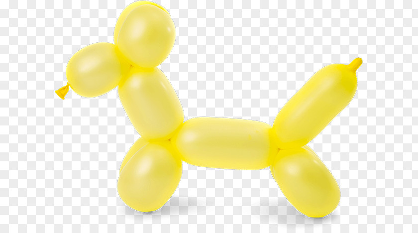 Canine Tooth Balloon Fruit PNG