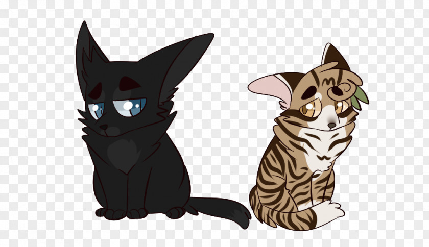 Cat Drawing Whiskers Art Warriors PNG