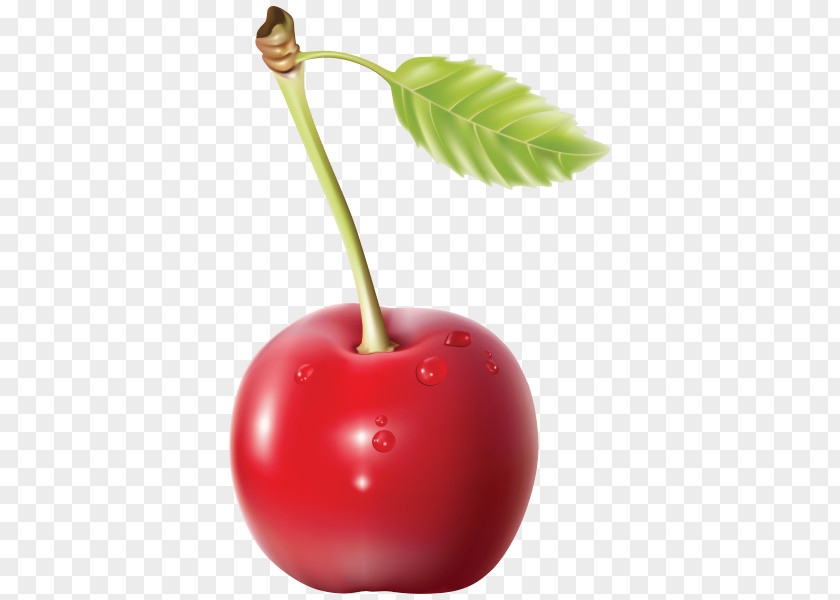 Cherry Clip Art PNG